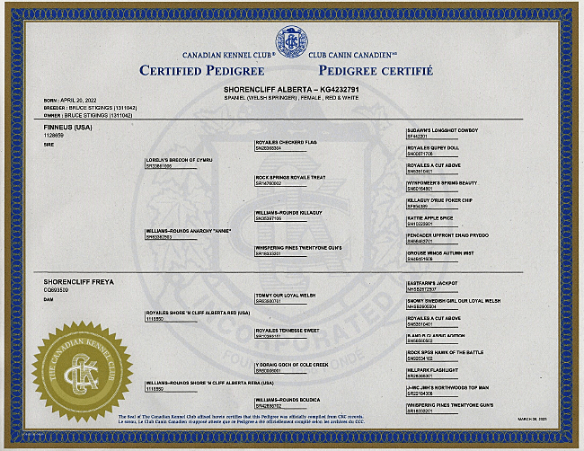 Welsh Springer Spaniel Certified Pedigree for Shorencliff Alberta