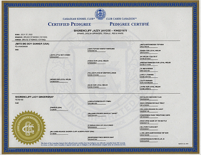 Welsh Springer Spaniel Certified Pedigree for Shorencliff Jazzy Jaycee