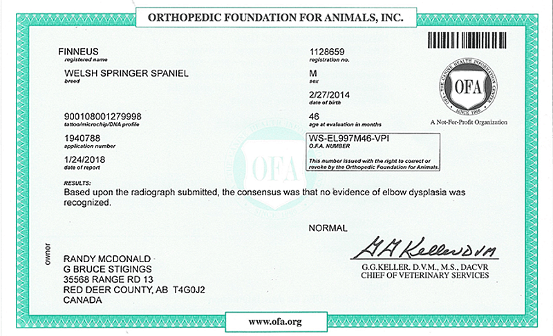 Health Report for Finneus