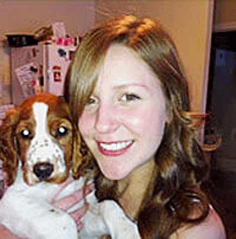 Piper - a Welsh Springer Spaniel dog