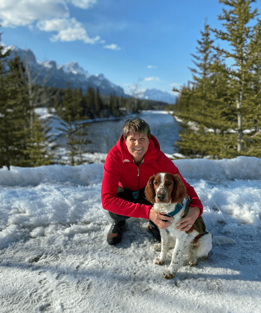 Tycho - a Welsh Springer Spaniel dog